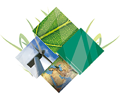 Imagen representativa evento ISO 14001