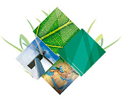 Imagen representativa evento ISO 14001