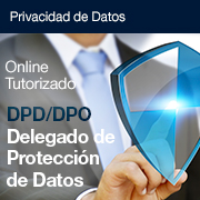 Delegado de Protección de Datos