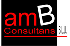 amB Consultans