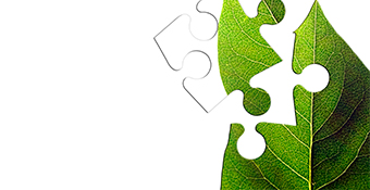 Taller de implantación de un Sistema de Gestión Ambiental ISO 14001:2015