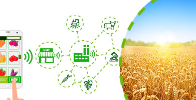 I Congreso Agroalimentaria 4.0