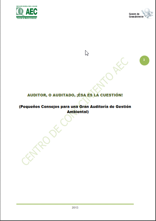 Auditor o Auditado. ¡Ésa es la cuestión!