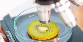 Gestión de Alertas y Crisis Alimentarias | En DIRECTO