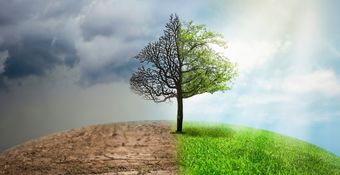 Taller de Gestión de Riesgos Ambientales | En DIRECTO