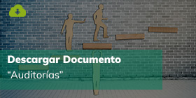 Audiorias: Enfoque, ámbito, auditoria / consultoría, y competetencias del auditor.
