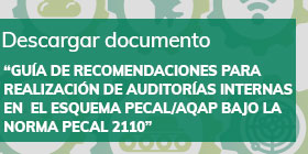 Descargar Guía de recomendaciones para la realización de auditorías internas en el Esquema PECAL/AQAP, bajo la norma PECAL 2110